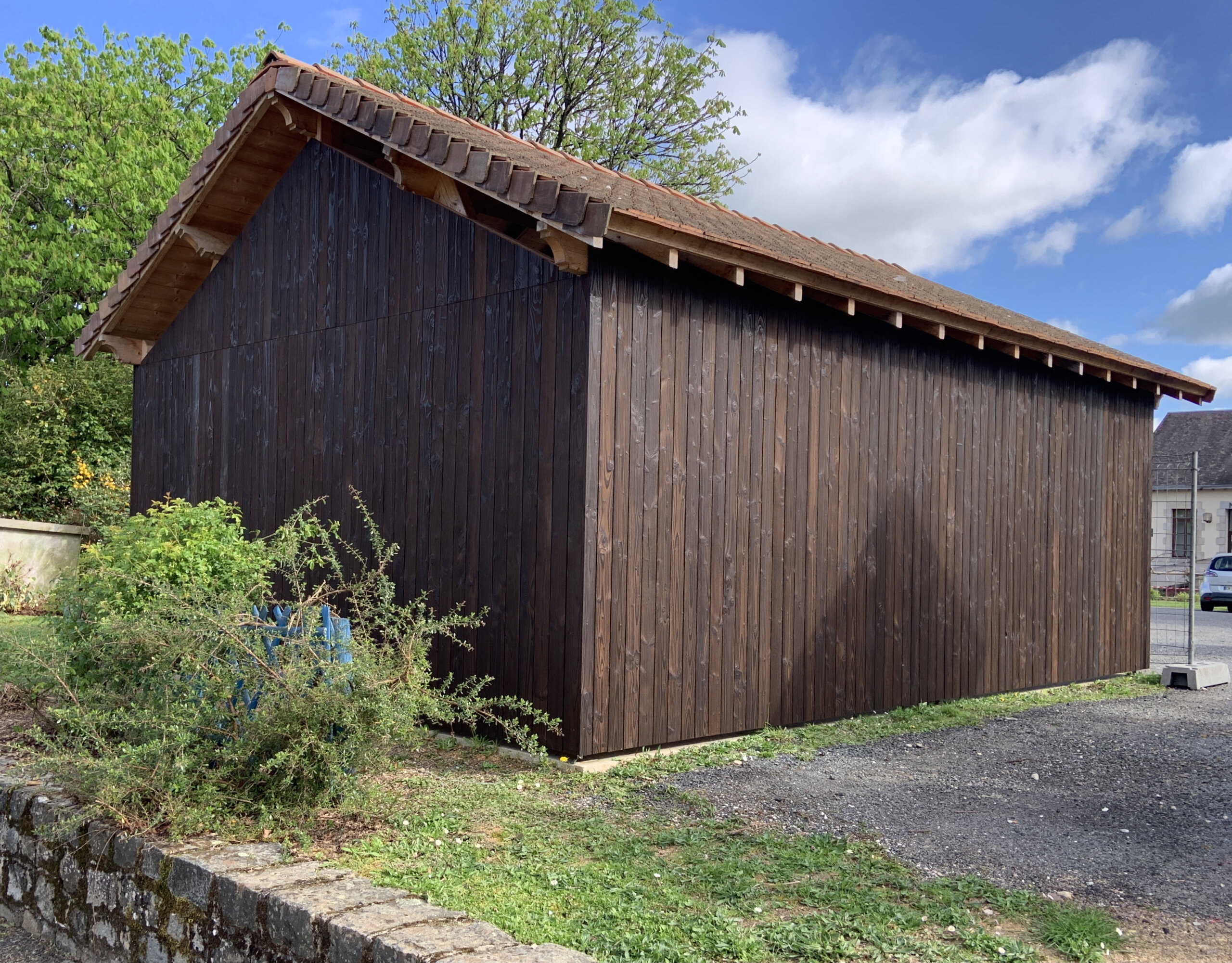 halle douglas buffalo brun3